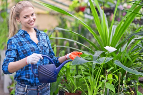 Gardening services concept image with tools and plants