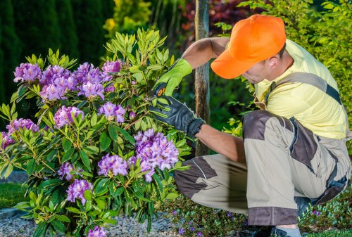 Gardener pruning a small terraced front garden in Bayswater