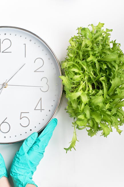 Close-up of a person's hand wearing a blue gardening glove, gently holding the edge of a round, white wall clock with black numerals and hands, positioned next to a lush, vibrant green leafy plant wit